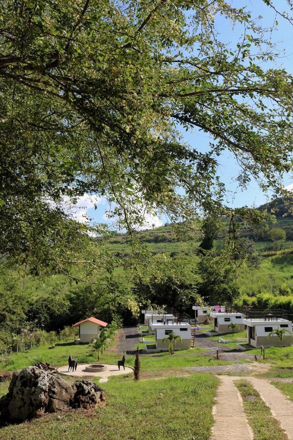 מלון Valle de San José Cielo Abierto Glamping מראה חיצוני תמונה