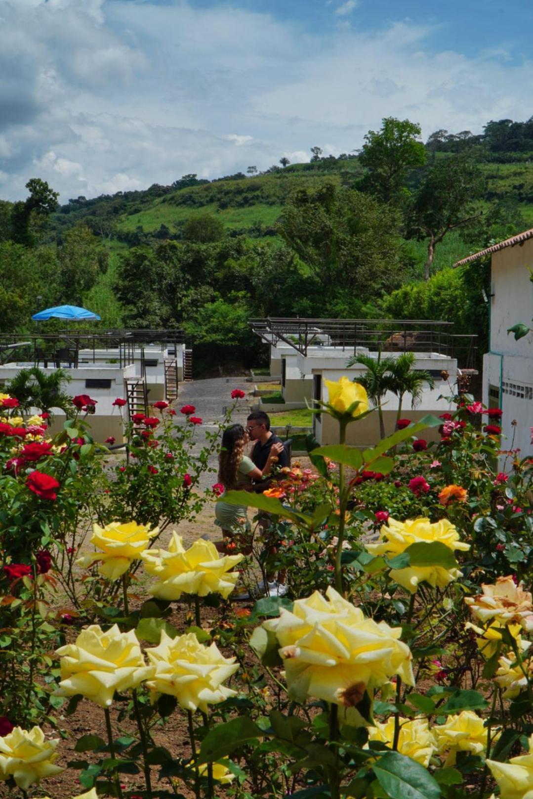 מלון Valle de San José Cielo Abierto Glamping מראה חיצוני תמונה